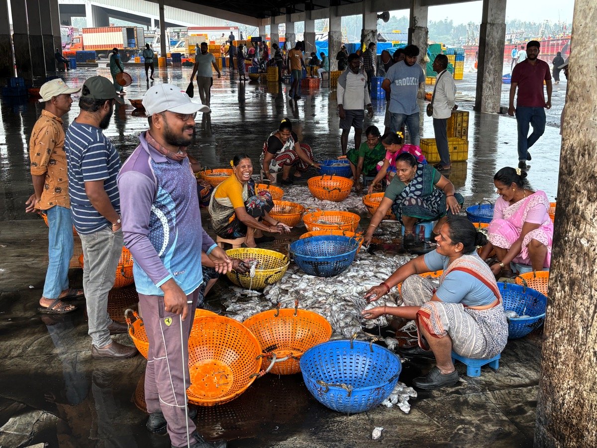 フィッシュマーケット(インド・カルナータカ州ウドゥピ)