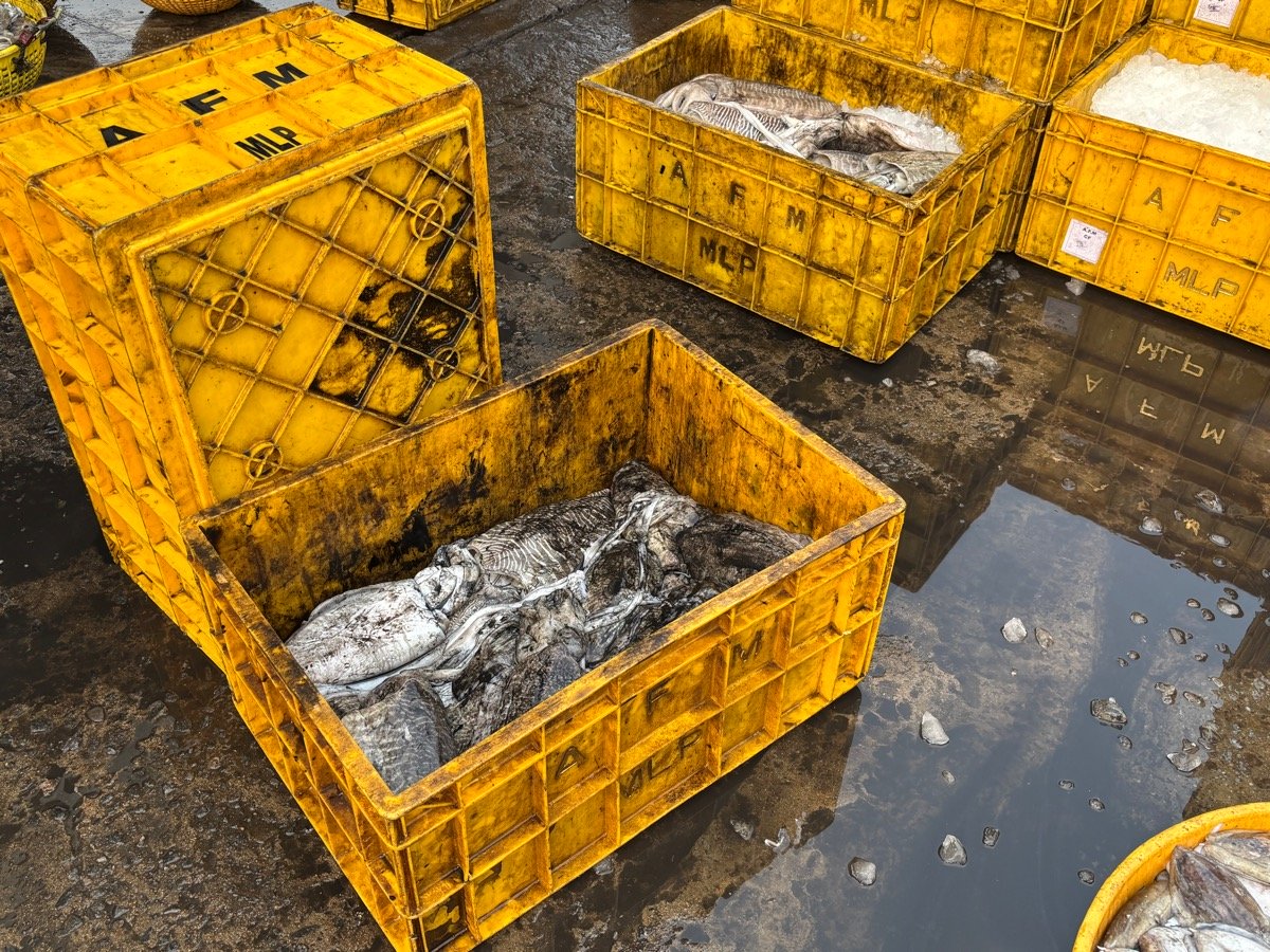 フィッシュマーケット(インド・カルナータカ州ウドゥピ)