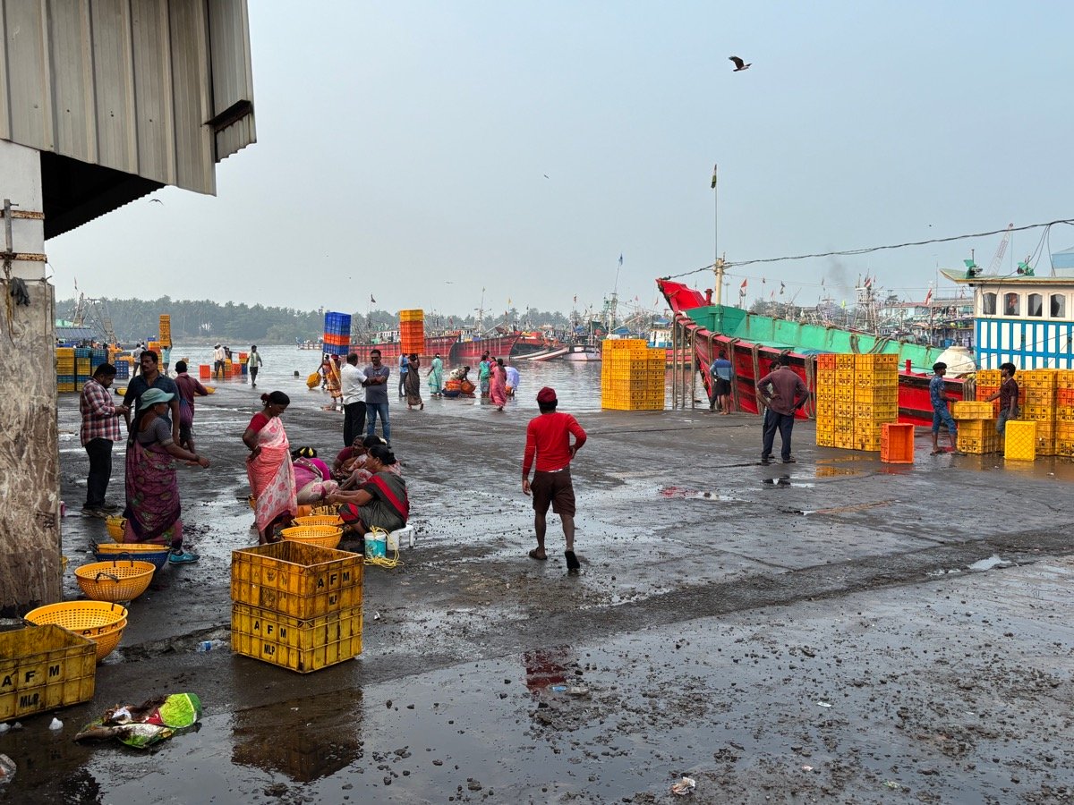 フィッシュマーケット(インド・カルナータカ州ウドゥピ)