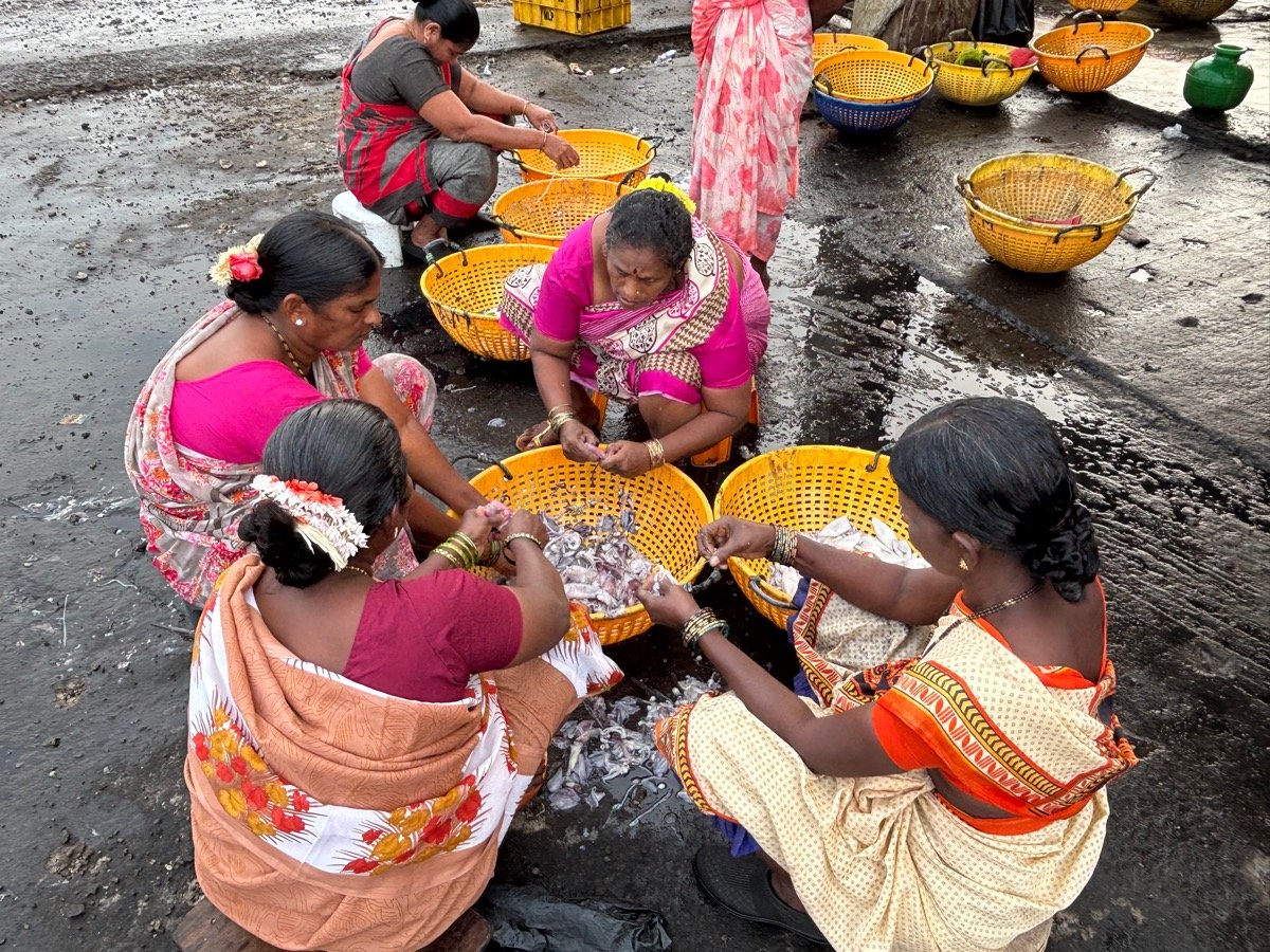 フィッシュマーケット(インド・カルナータカ州ウドゥピ)