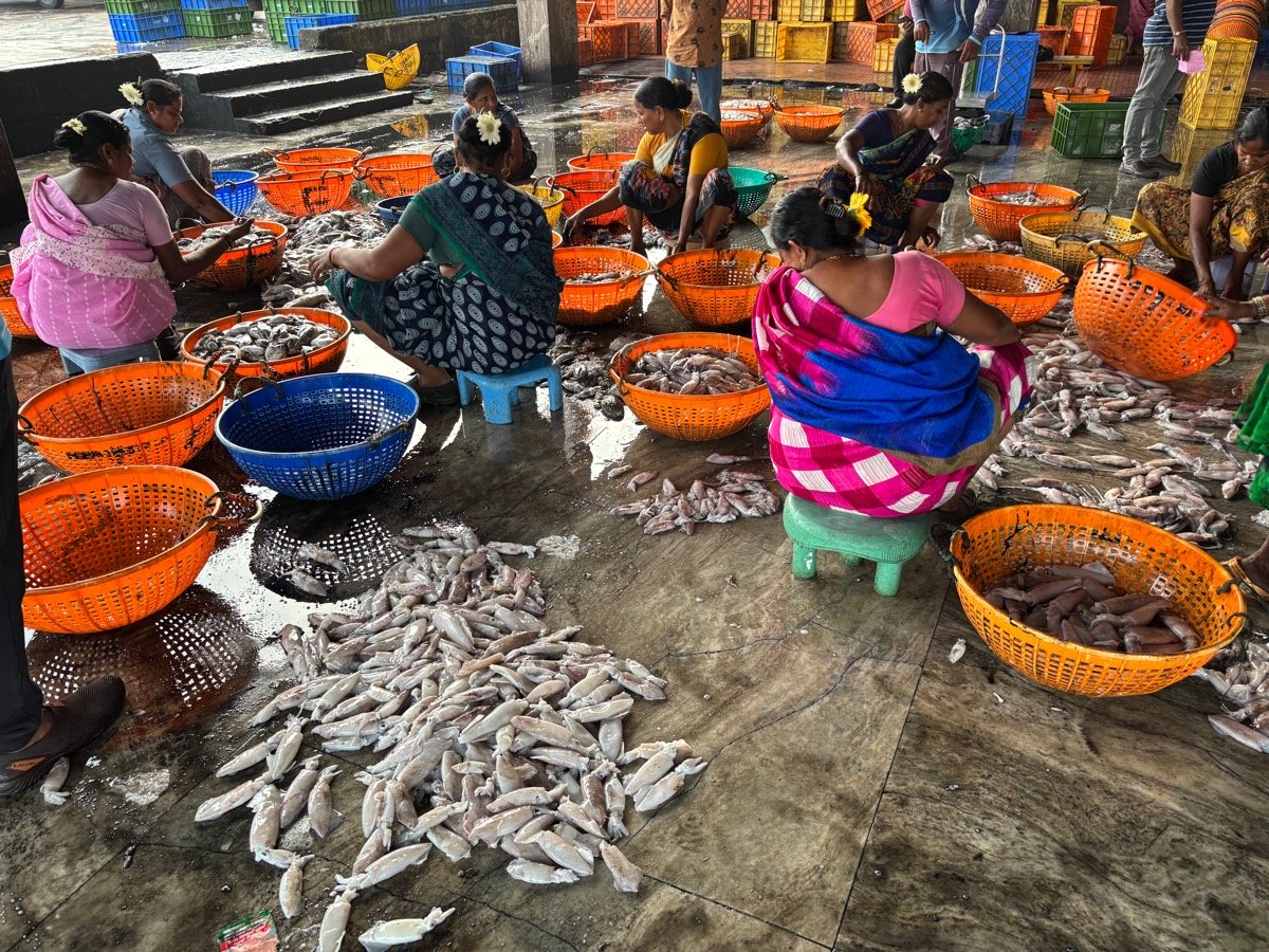 フィッシュマーケット(インド・カルナータカ州ウドゥピ)