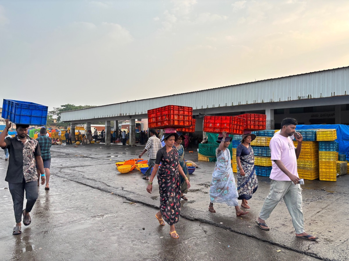 フィッシュマーケット(インド・カルナータカ州ウドゥピ)