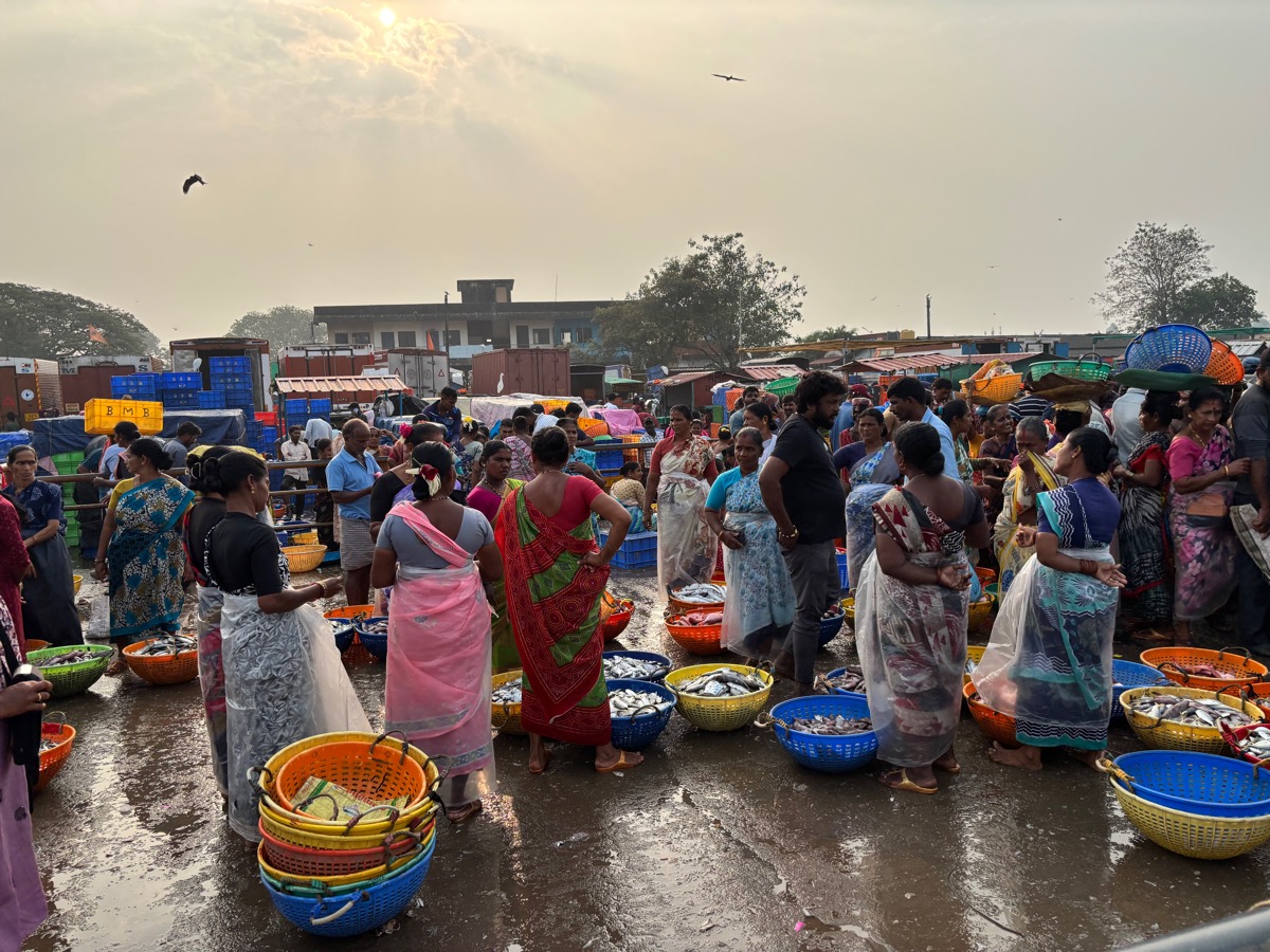 フィッシュマーケット(インド・カルナータカ州ウドゥピ)