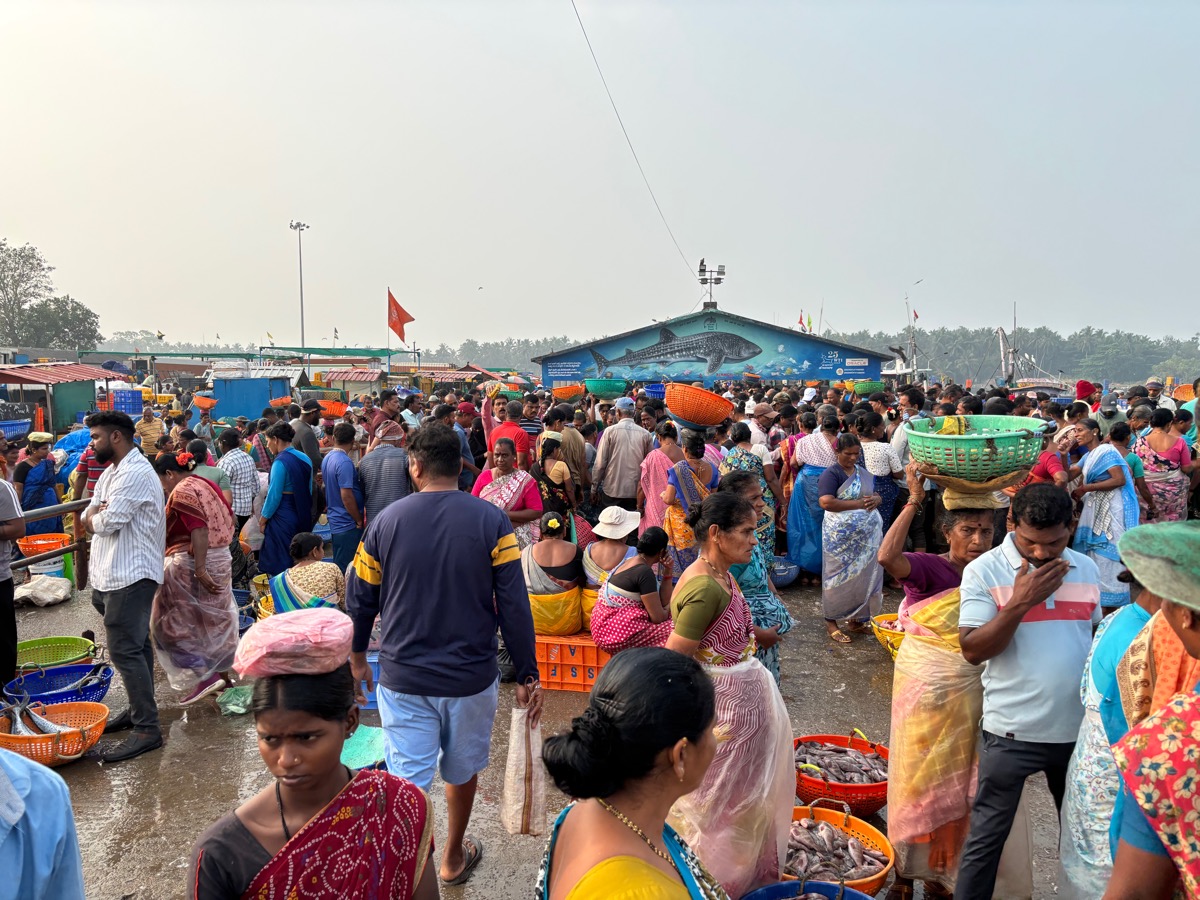 フィッシュマーケット(インド・カルナータカ州ウドゥピ)