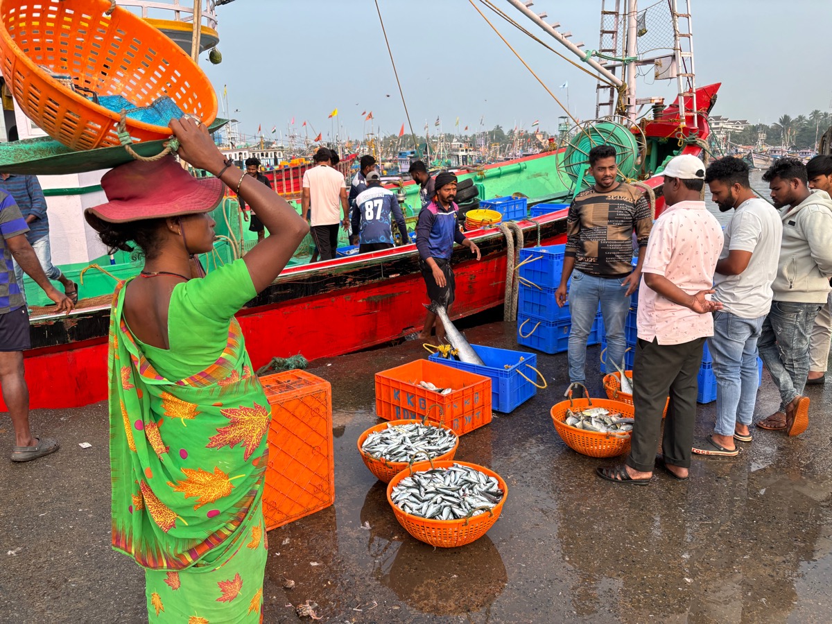 フィッシュマーケット(インド・カルナータカ州ウドゥピ)