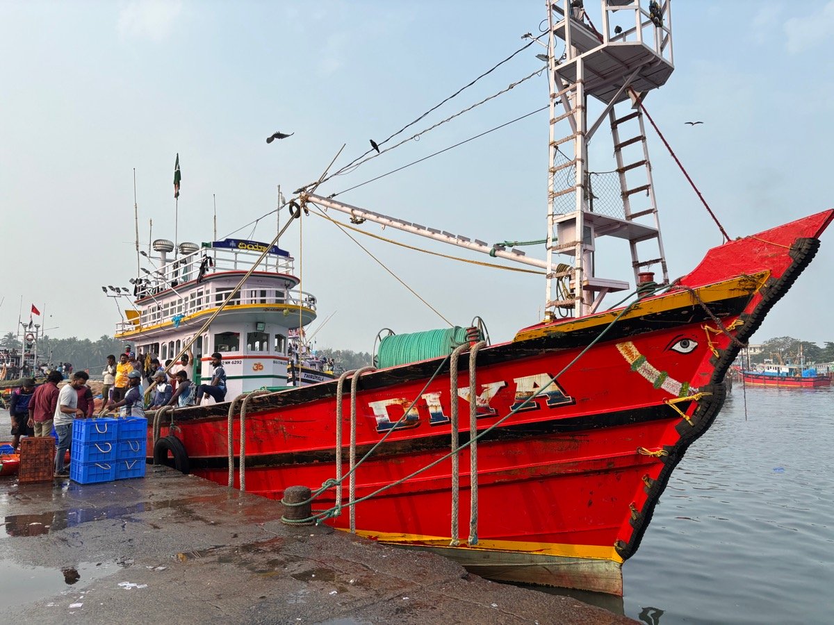 フィッシュマーケット(インド・カルナータカ州ウドゥピ)