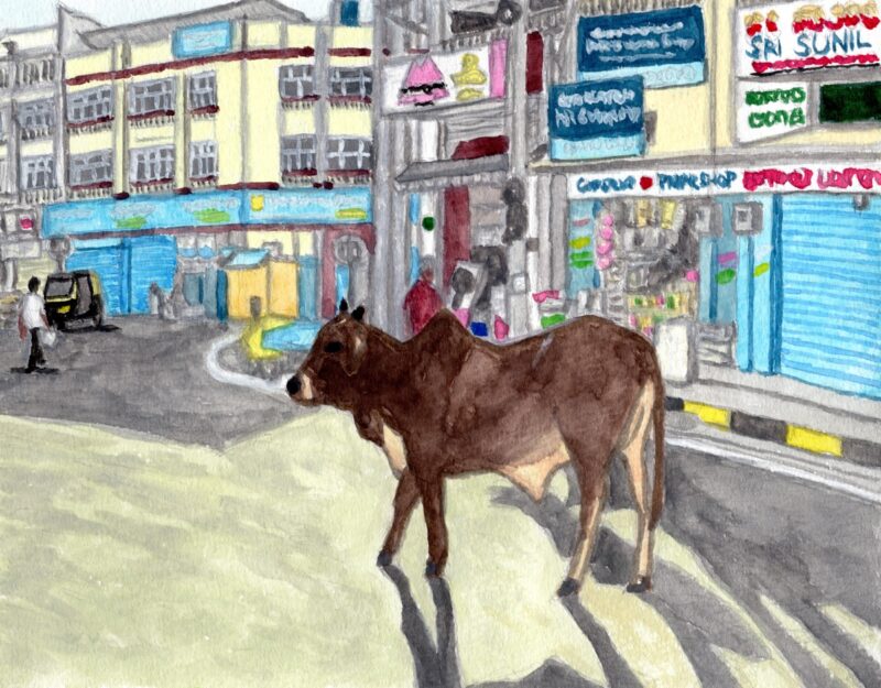 通りを歩く牛（インド・マイソール）