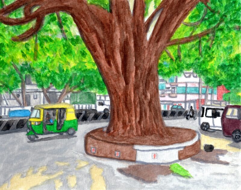 リキシャと木（インド・バンガロール）