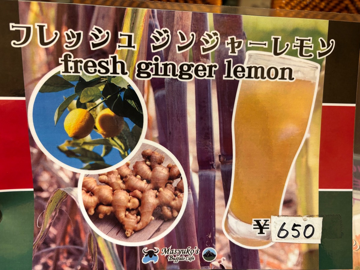 マシューコウズ・バッファロー・カフェ（五反田）