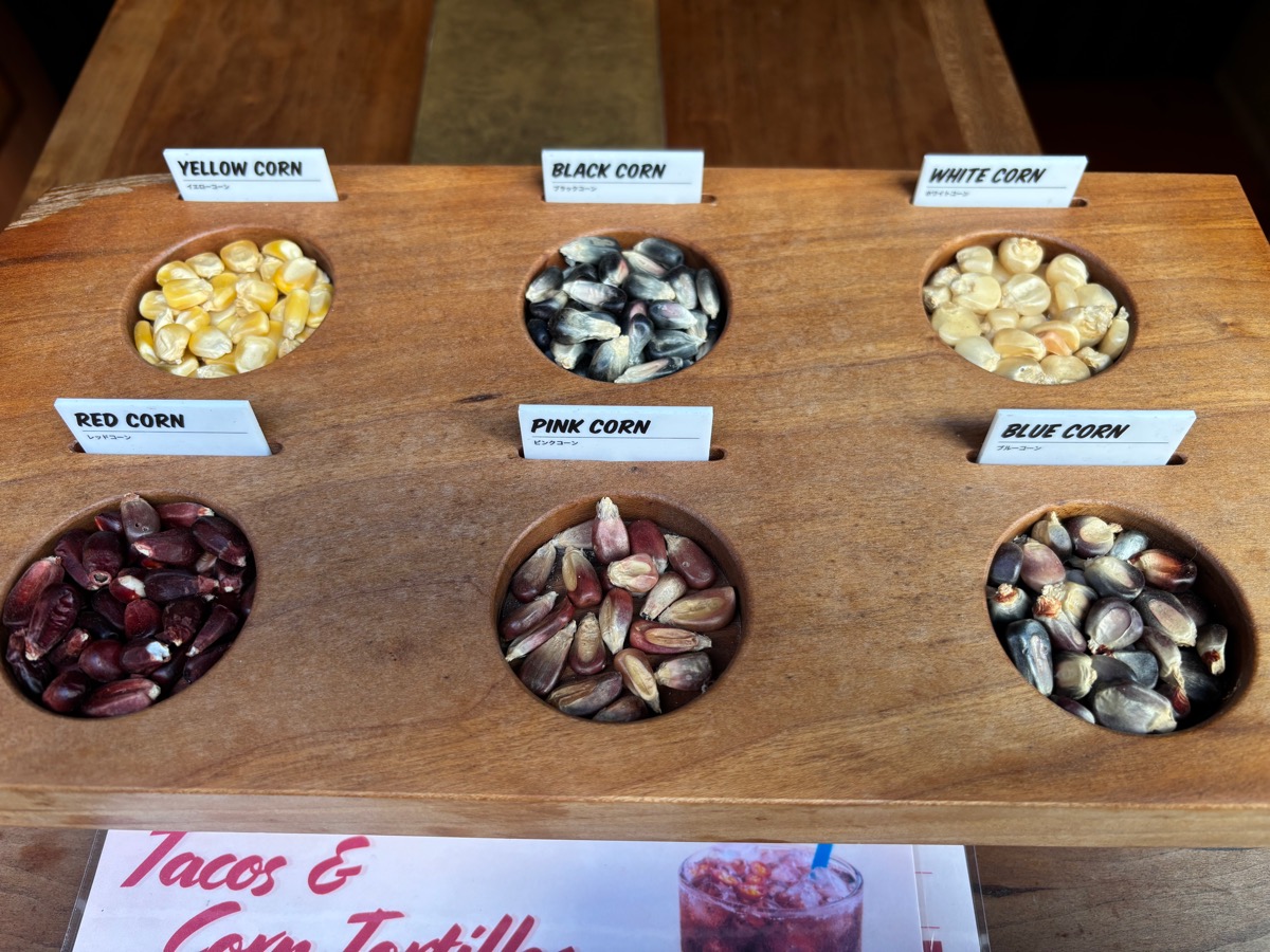 Tortilla Club TORTILLERIA（代々木上原）