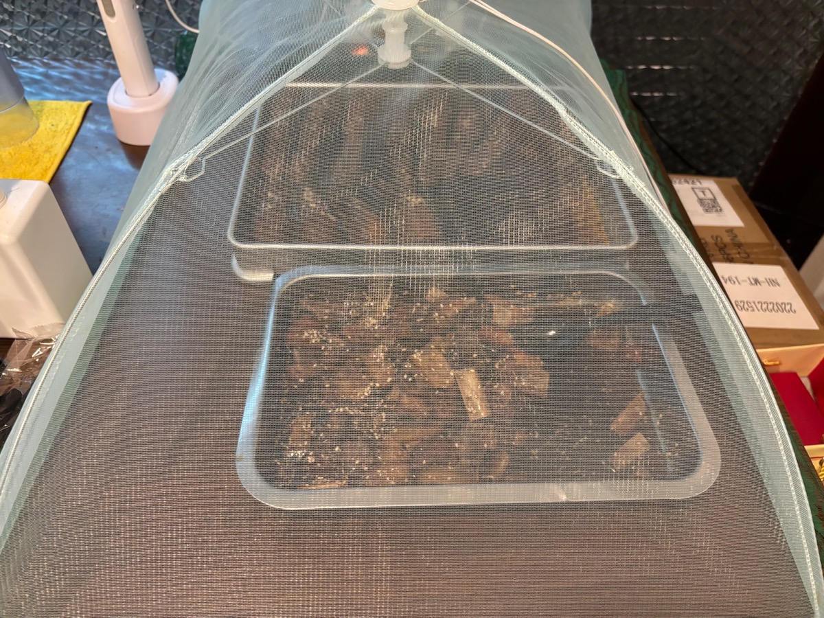 川A食堂（大塚）